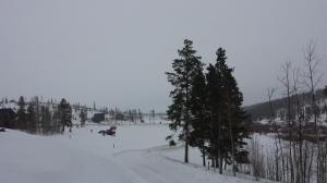 10361459_10204677376068595_8769313926448958482_n