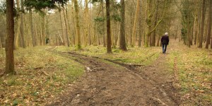 the-road-not-taken-11