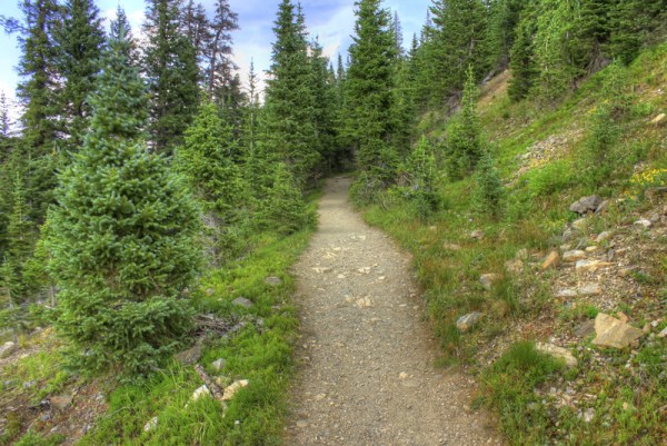 colorado-rocky-mountains-national-park-path-on-the-mountain_800